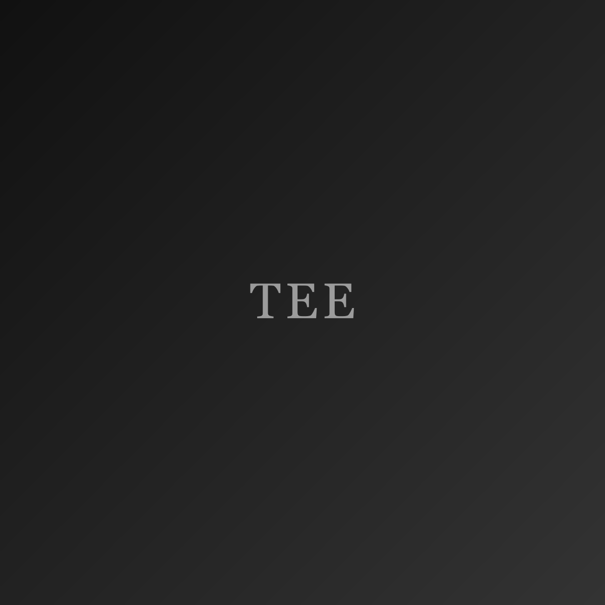 TS-03